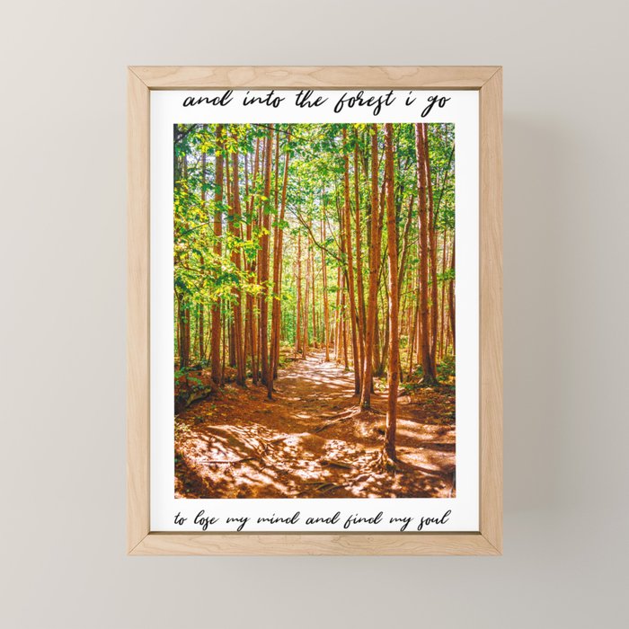 John Muir-And Into The Forest I Go To Lose My Mind And Find My Soul Mini Art Print Gallery Image 1