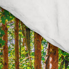 John Muir-And Into The Forest I Go To Lose My Mind And Find My Soul Comforter Gallery Image 4