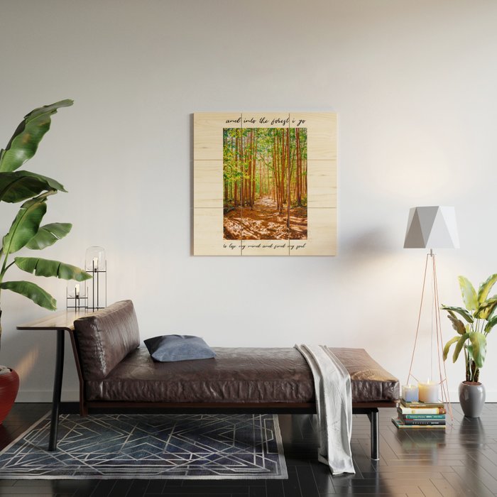 John Muir-And Into The Forest I Go To Lose My Mind And Find My Soul Wood Wall Art Gallery Image 2