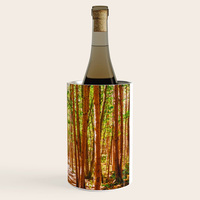 John Muir-And Into The Forest I Go To Lose My Mind And Find My Soul Wine Chiller Gallery Image 3
