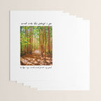 John Muir-And Into The Forest I Go To Lose My Mind And Find My Soul Wrapping Paper Gallery Image 3