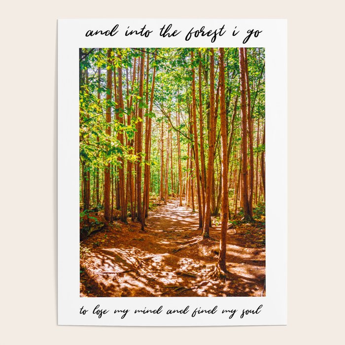 John Muir-And Into The Forest I Go To Lose My Mind And Find My Soul Poster Gallery Image 1