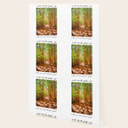 John Muir-And Into The Forest I Go To Lose My Mind And Find My Soul Wallpaper Gallery Image 2