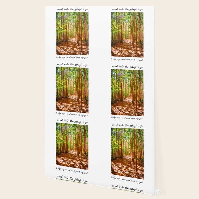 John Muir-And Into The Forest I Go To Lose My Mind And Find My Soul Wallpaper Gallery Image 2