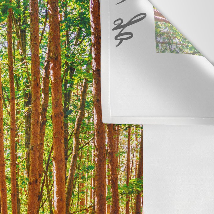 John Muir-And Into The Forest I Go To Lose My Mind And Find My Soul Wall Tapestry Gallery Image 3