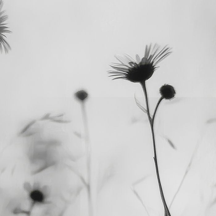 Whispers in Bloom II Coffee Mug Gallery Image 2