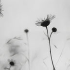 Whispers in Bloom II Coffee Mug Gallery Image 2