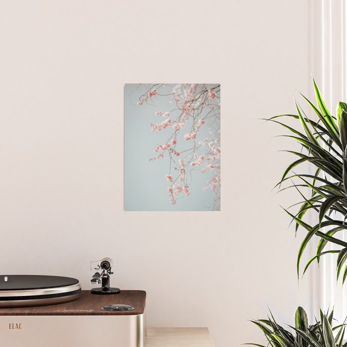 Cherry Blossom Poster Gallery Image 2