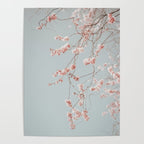 Cherry Blossom Poster Gallery Image 4
