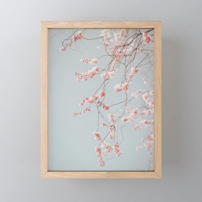 Cherry Blossom Mini Art Print Gallery Image 1