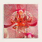 Close up Orchid 37 Wood Wall Art Gallery Image 1