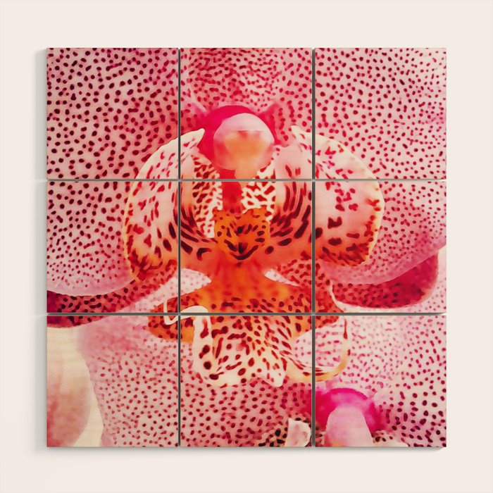 Close up Orchid 37 Wood Wall Art Gallery Image 1