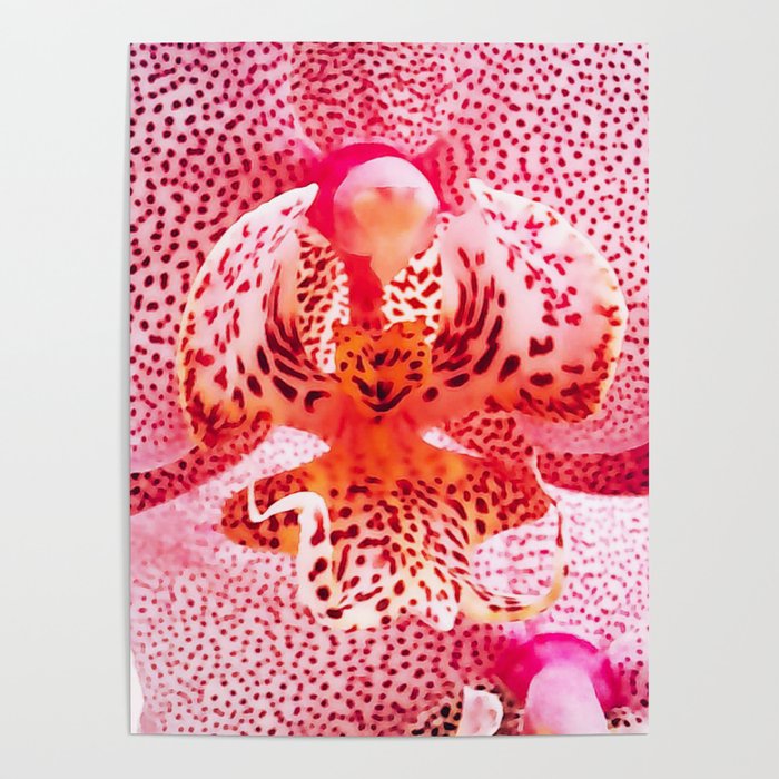 Close up Orchid 37 Poster
