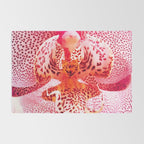 Close up Orchid 37 Rug Gallery Image 2