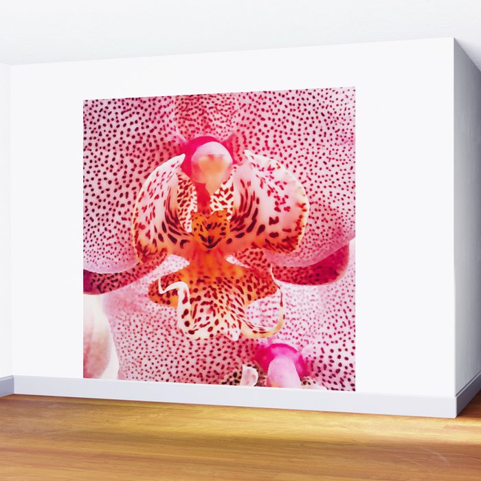 Close up Orchid 37 Wall Mural Gallery Image 2