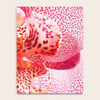 Close up Orchid 37 Notebook Gallery Image 4