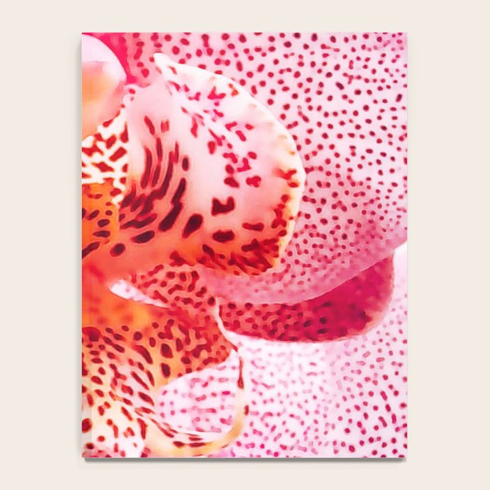 Close up Orchid 37 Notebook Gallery Image 4
