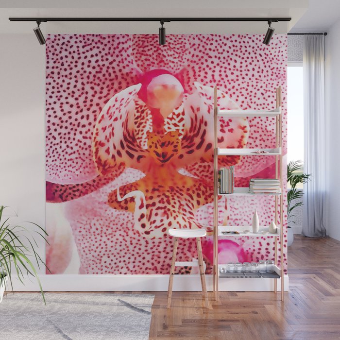 Close up Orchid 37 Wall Mural Gallery Image 1