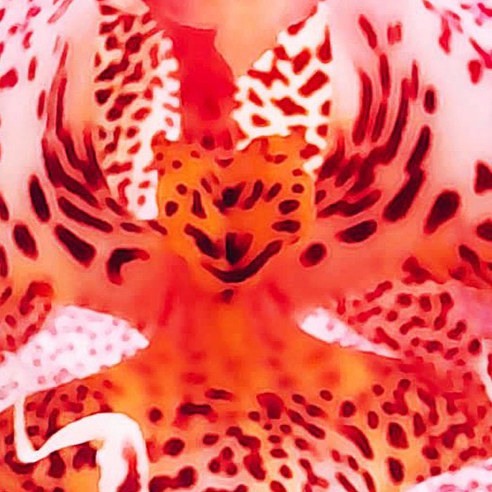 Close up Orchid 37 Coffee Mug Gallery Image 2