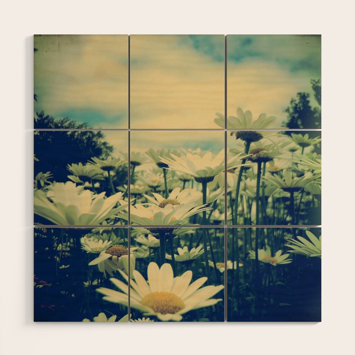 Daisy Love Wood Wall Art Gallery Image 1
