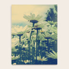 Daisy Love Notebook Gallery Image 4