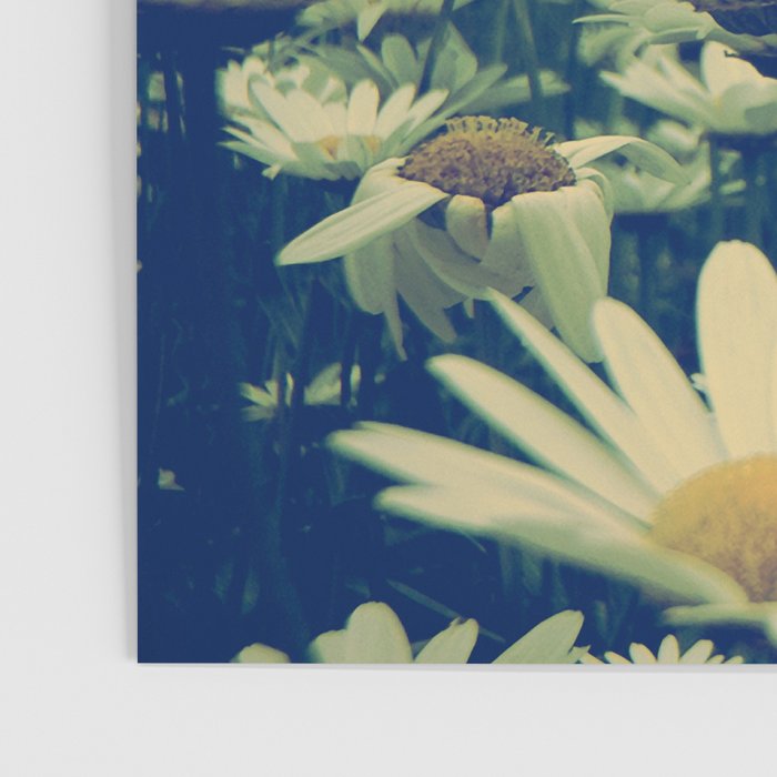 Daisy Love Poster Gallery Image 3