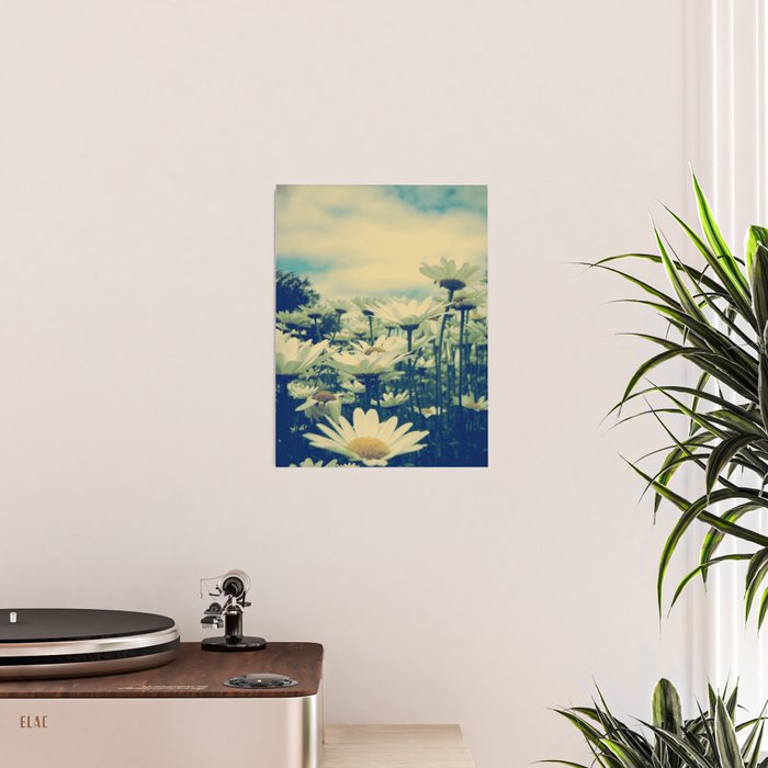 Daisy Love Poster Gallery Image 2