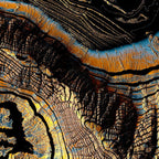 Golden Canyons Coffee Mug Gallery Image 2