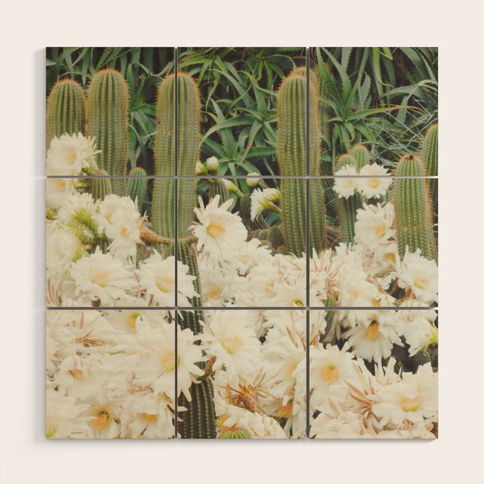 Cactus and Flowers Wood Wall Art Gallery Image 1
