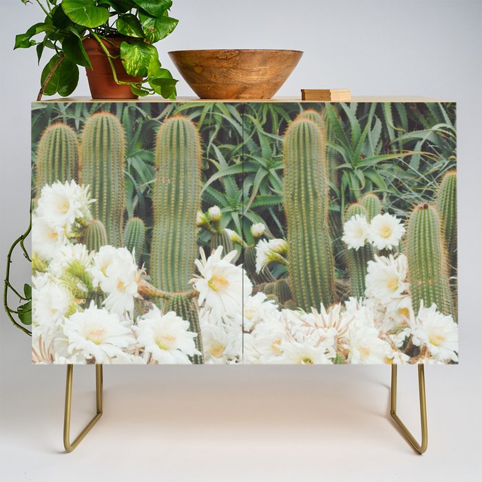 Cactus and Flowers Credenza Gallery Image 1