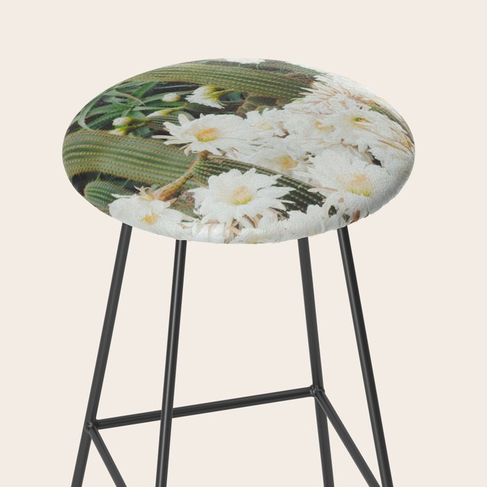 Cactus and Flowers Stool Gallery Image 2