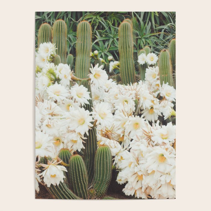 Cactus and Flowers Poster Gallery Image 1