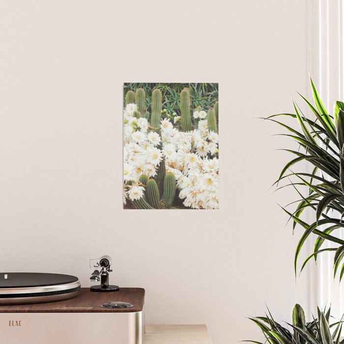 Cactus and Flowers Poster Gallery Image 2