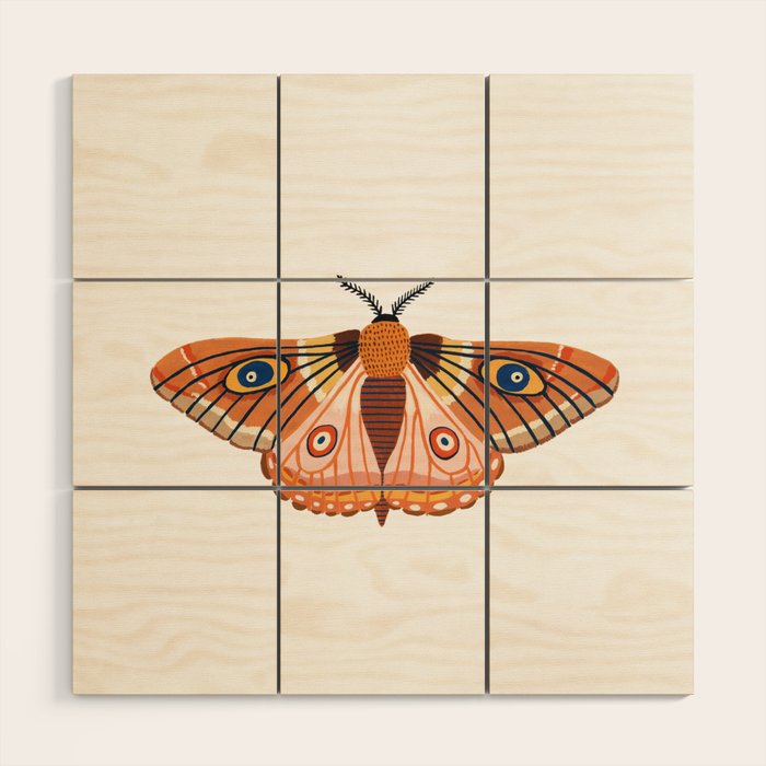 Moth Wood Wall Art Gallery Image 1