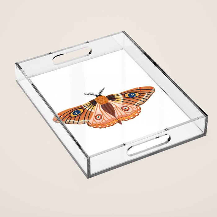 Moth Acrylic Tray Gallery Image 1