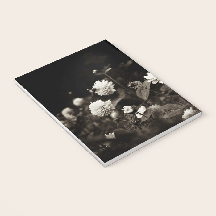 The Way That Light Attaches to a Dream Notebook Gallery Image 3