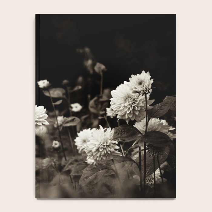 The Way That Light Attaches to a Dream Notebook Gallery Image 4