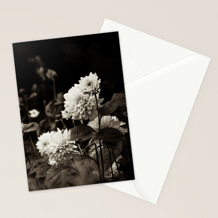 The Way That Light Attaches to a Dream Stationery Card Gallery Image 2