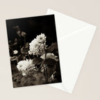 The Way That Light Attaches to a Dream Stationery Card Gallery Image 2