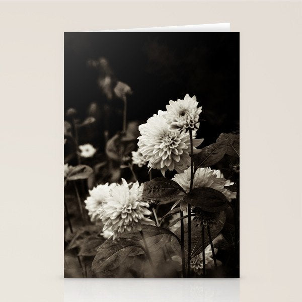 The Way That Light Attaches to a Dream Stationery Card Gallery Image 1