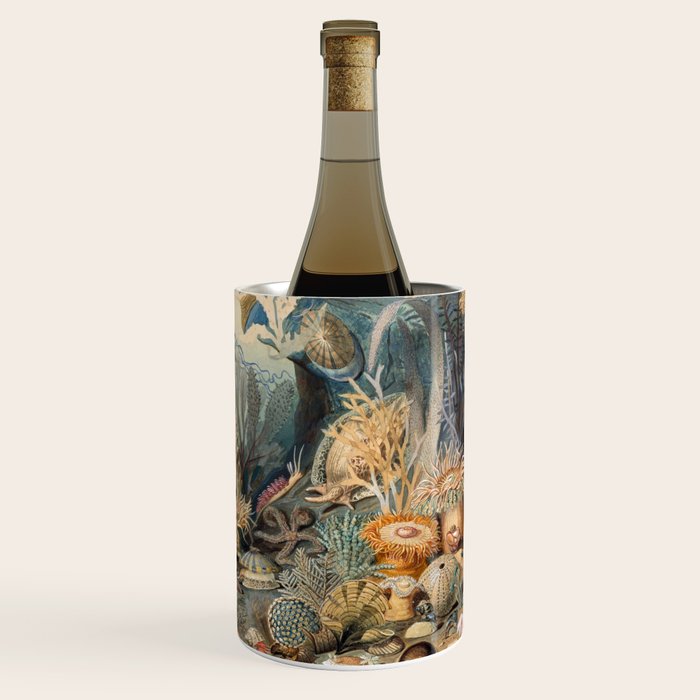 Ocean Life by James M Sommerville 1859 Funky Quirky Cute Cozy Boho Maximalism Maximalist Wine Chiller Gallery Image 1