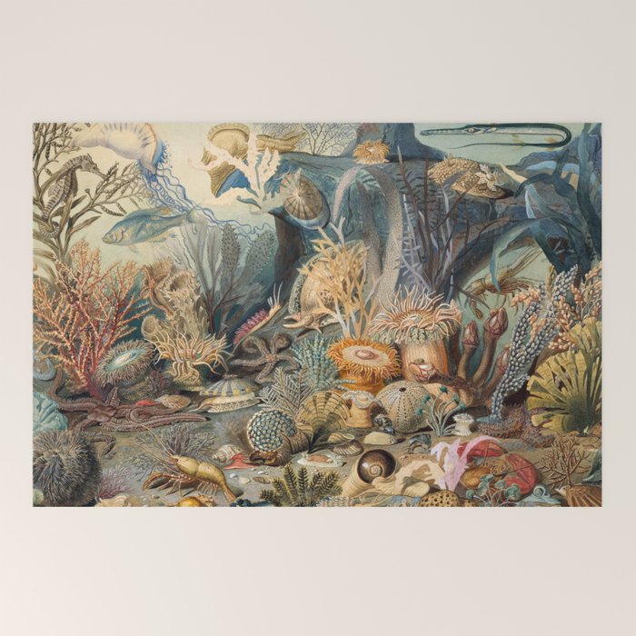 Ocean Life by James M Sommerville 1859 Funky Quirky Cute Cozy Boho Maximalism Maximalist Welcome Mat Gallery Image 2