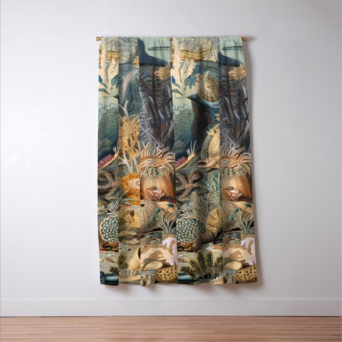 Ocean Life by James M Sommerville 1859 Funky Quirky Cute Cozy Boho Maximalism Maximalist Window Curtain Gallery Image 3