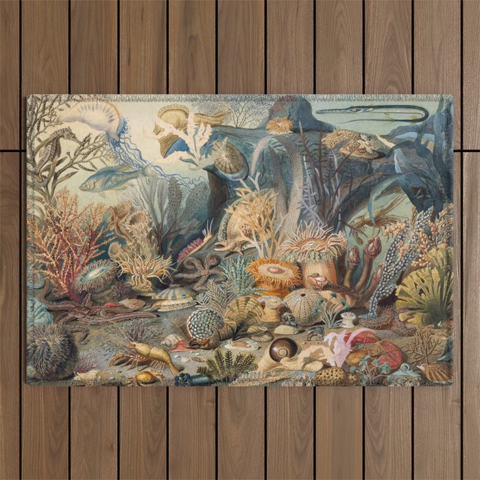 Ocean Life by James M Sommerville 1859 Funky Quirky Cute Cozy Boho Maximalism Maximalist Outdoor Rug Gallery Image 1