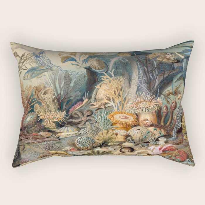 Ocean Life by James M Sommerville 1859 Funky Quirky Cute Cozy Boho Maximalism Maximalist Rectangular Pillow Gallery Image 2