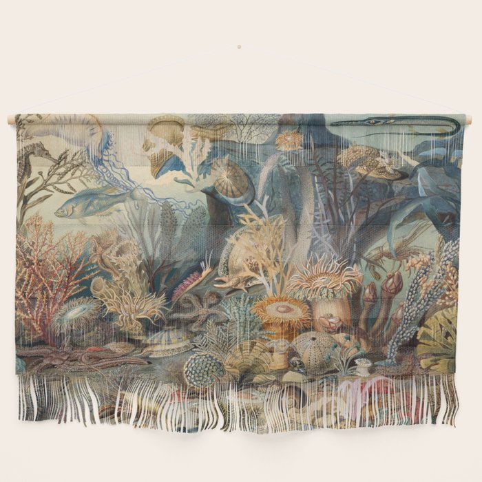 Ocean Life by James M Sommerville 1859 Funky Quirky Cute Cozy Boho Maximalism Maximalist Wall Hanging Gallery Image 1