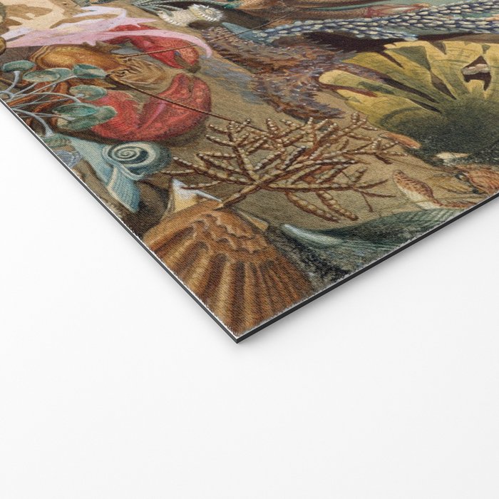 Ocean Life by James M Sommerville 1859 Funky Quirky Cute Cozy Boho Maximalism Maximalist Welcome Mat Gallery Image 2