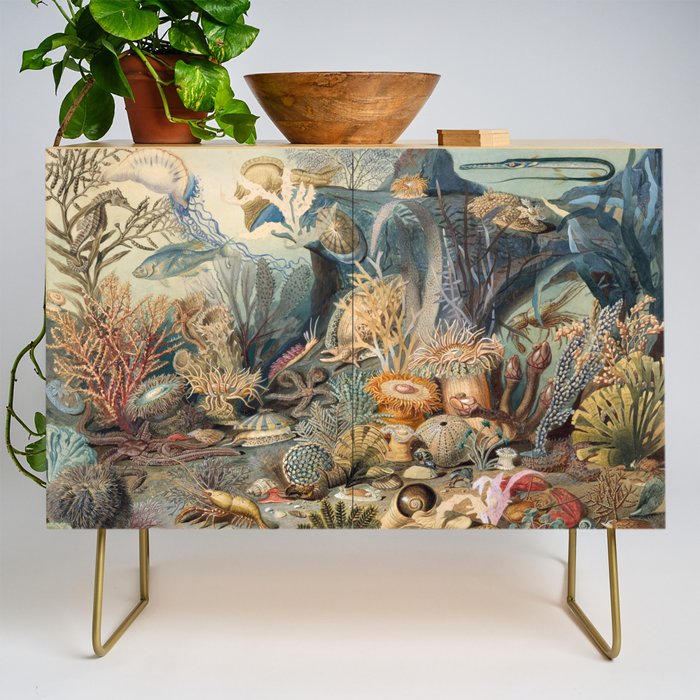Ocean Life by James M Sommerville 1859 Funky Quirky Cute Cozy Boho Maximalism Maximalist Credenza Gallery Image 1