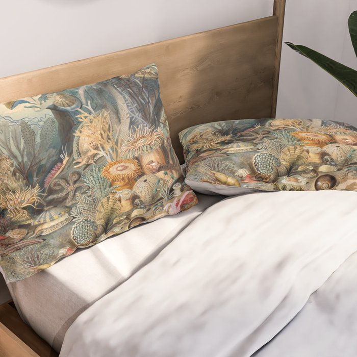 Ocean Life by James M Sommerville 1859 Funky Quirky Cute Cozy Boho Maximalism Maximalist Pillow Sham Gallery Image 2