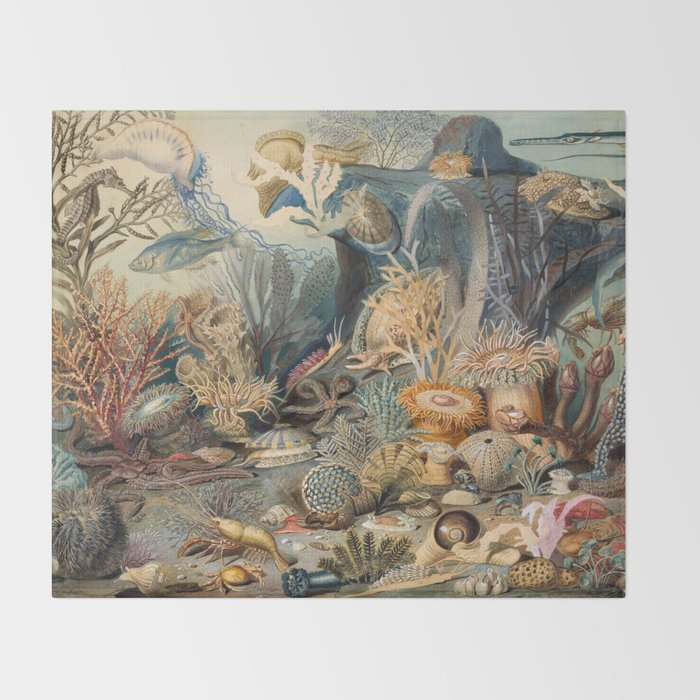 Ocean Life by James M Sommerville 1859 Funky Quirky Cute Cozy Boho Maximalism Maximalist Throw Blanket Gallery Image 2